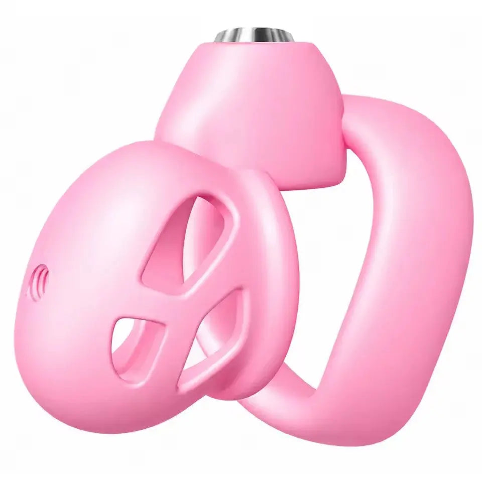 Snake Head Birdcage Chastity Cage – Open-Frame Male Chastity Device with Lock Tarisss Sex Toy Store